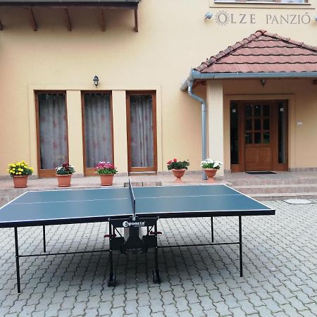 Olze Panzio Bed and Breakfast Erdőbénye Exteriör bild